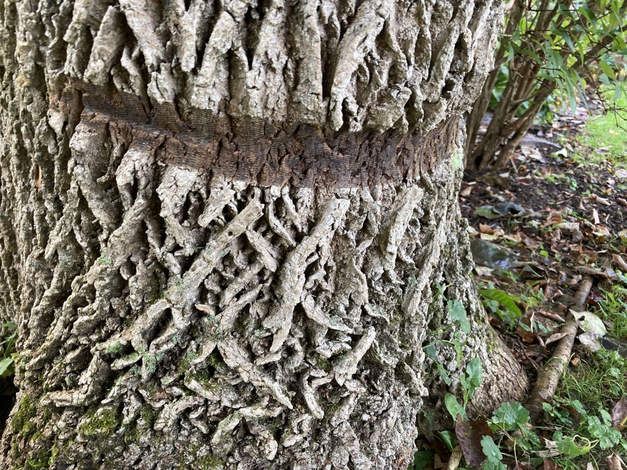 0BBD1565-D06F-4197-87E4-540D1F8E693F.jpg
