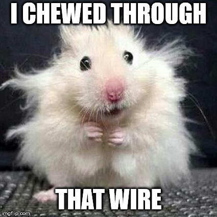 0BDDB2C5-1F8C-4E81-A06C-9E1D88B7CFF6.jpg