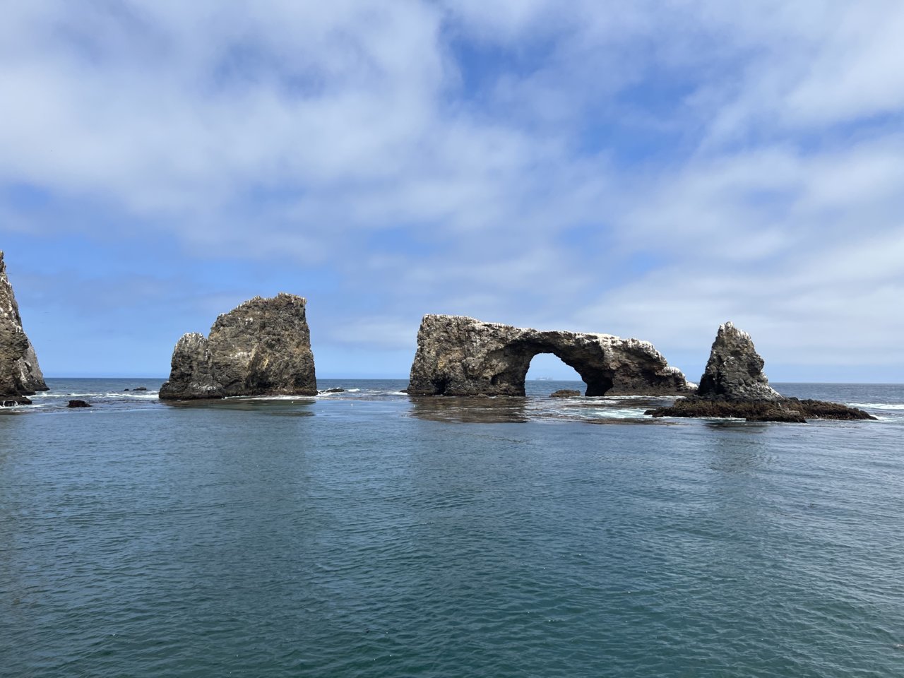 0BE0E748-55A4-4A22-B5A6-EC5BB388A775.jpg