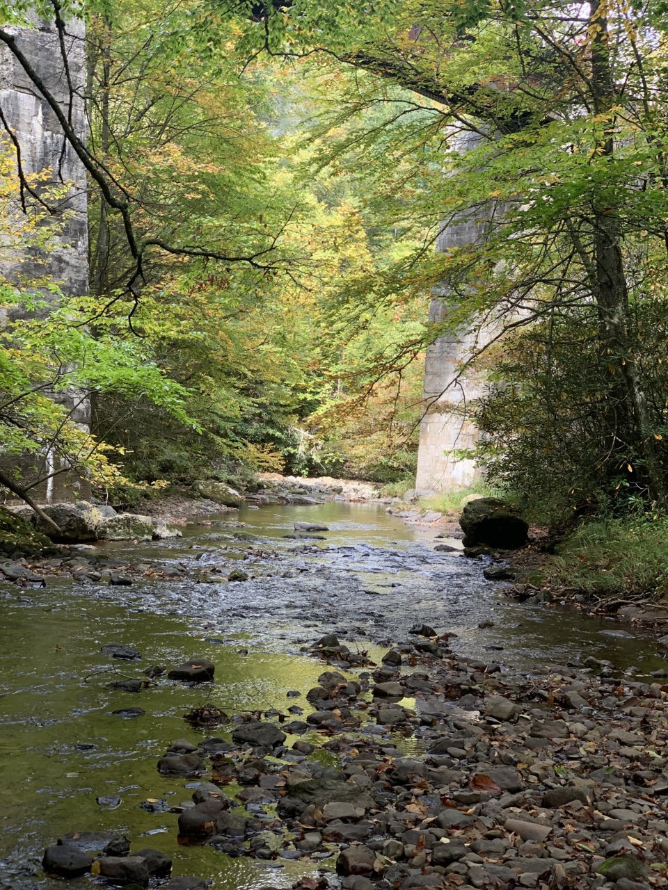 0C060E23-AA3E-4FDF-A468-04858C2A588D.jpg