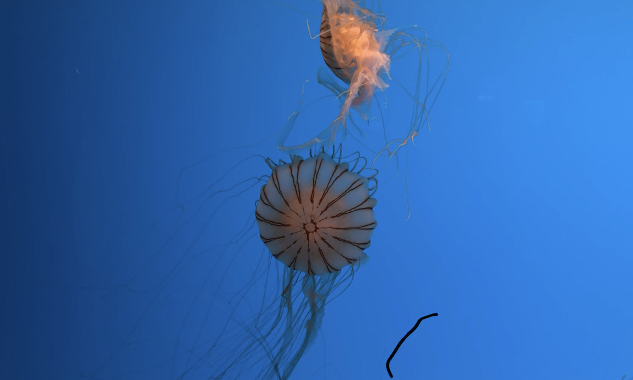 0C08BE4D-E556-42E5-8E7C-56842DAF24F2.jpg