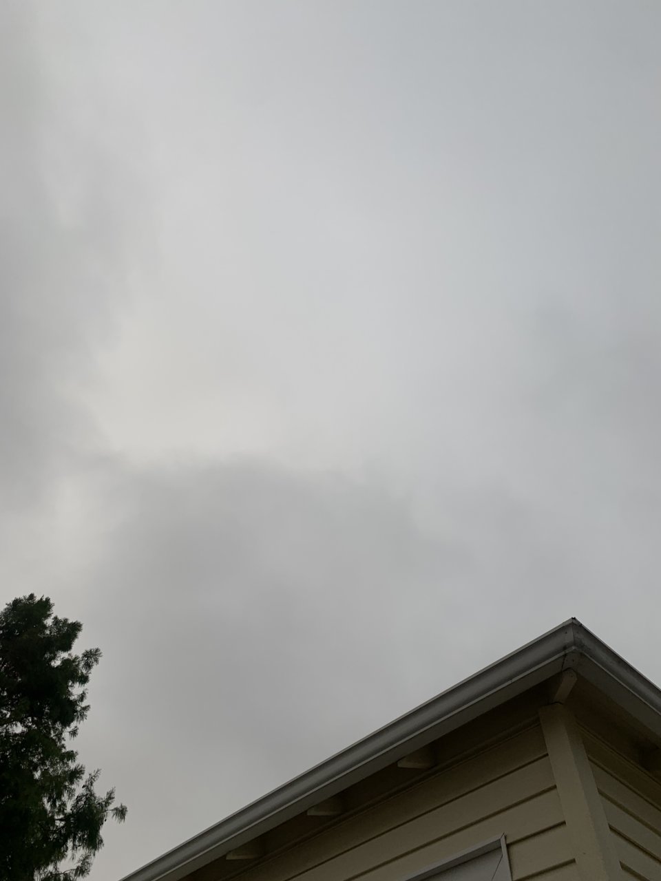 0C636DA2-CFC2-4ACD-9500-7ED8225A1C25.jpg