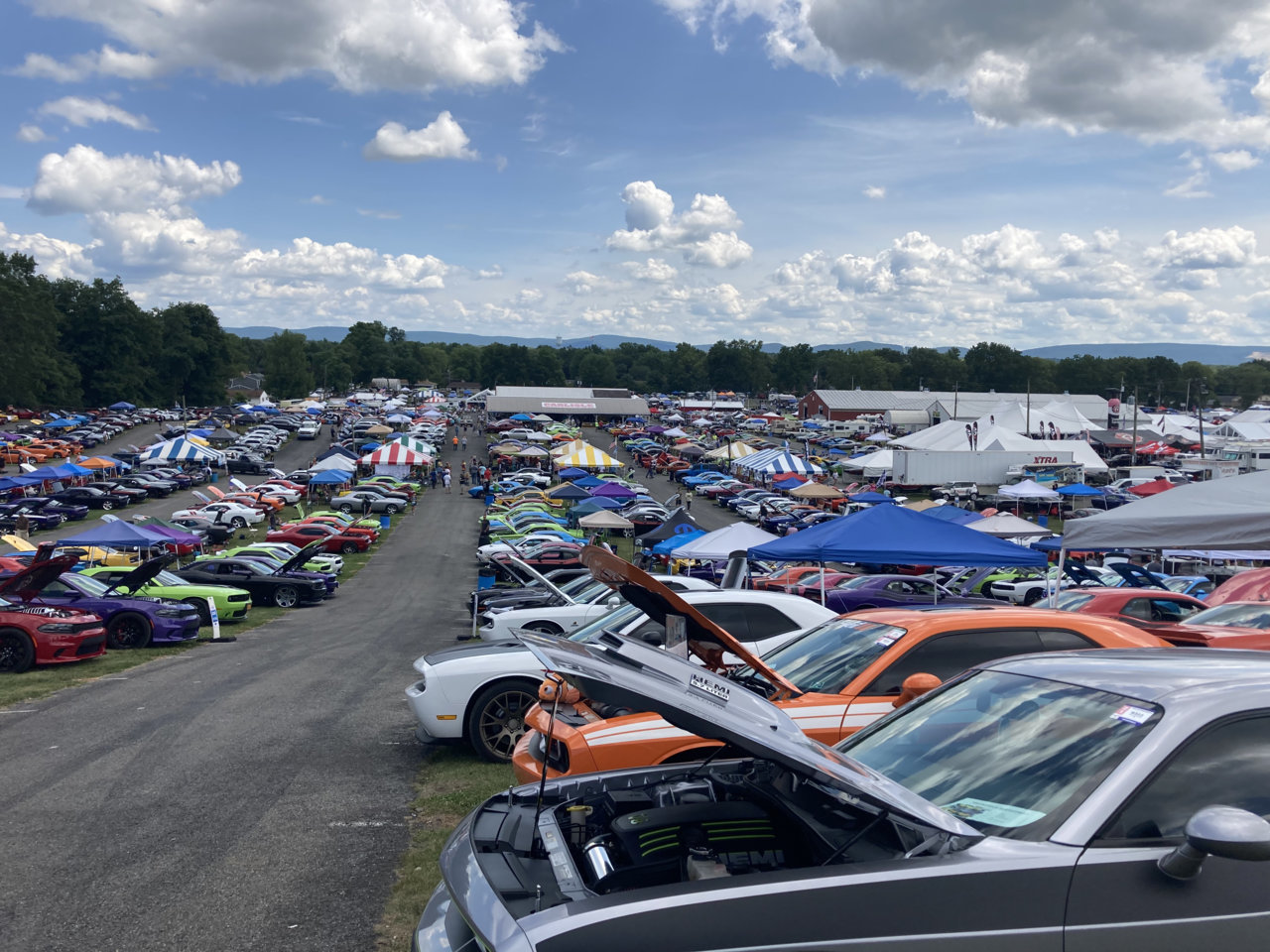 0C90BF52-44ED-47B0-9B58-41265CC17993.jpg