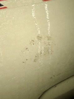 0CCA9BC3-8C70-4503-9EE6-3A8718D2FDA7.jpg