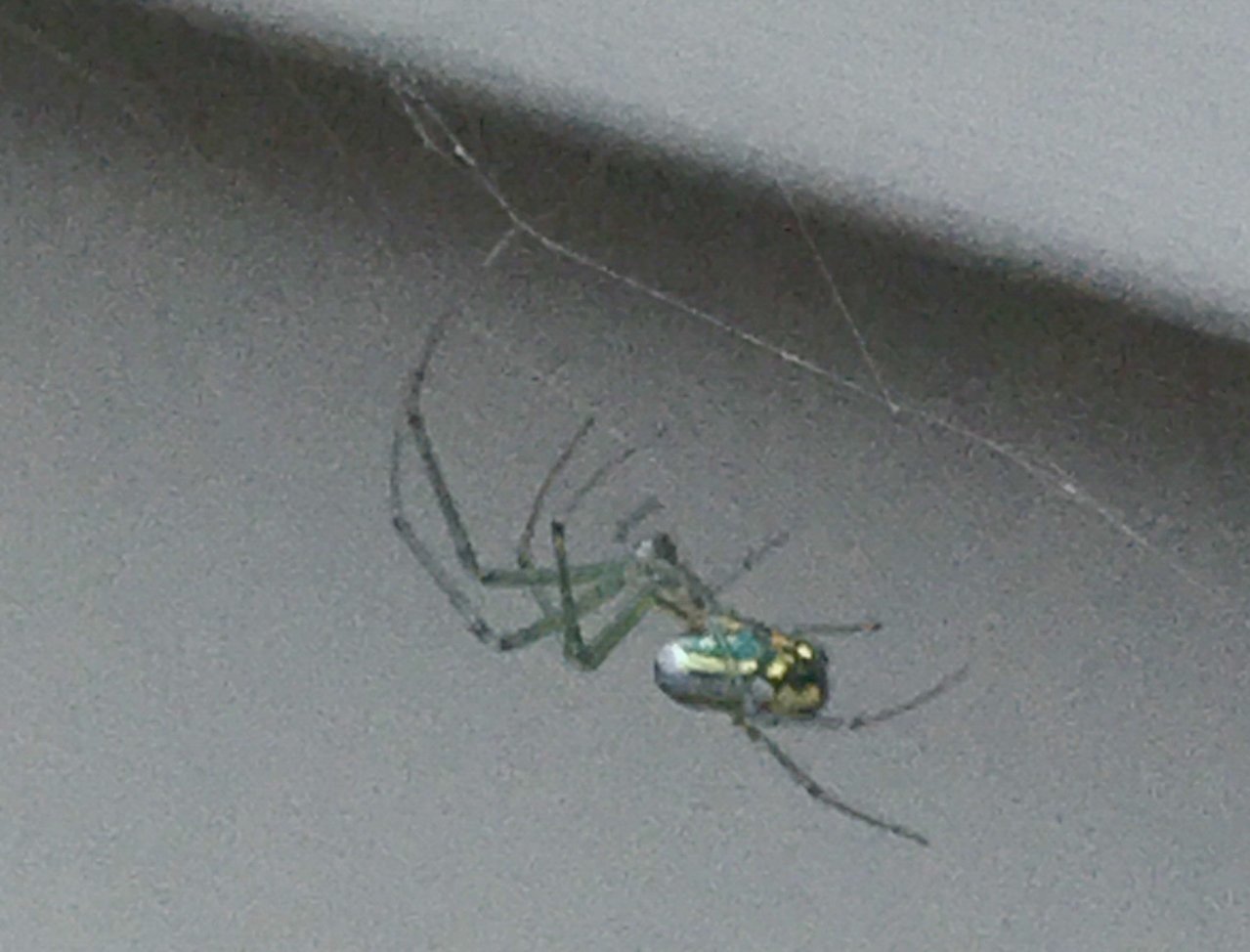 0D8692E4-CEEC-4F2F-93DB-BEBBD49435D6.jpg