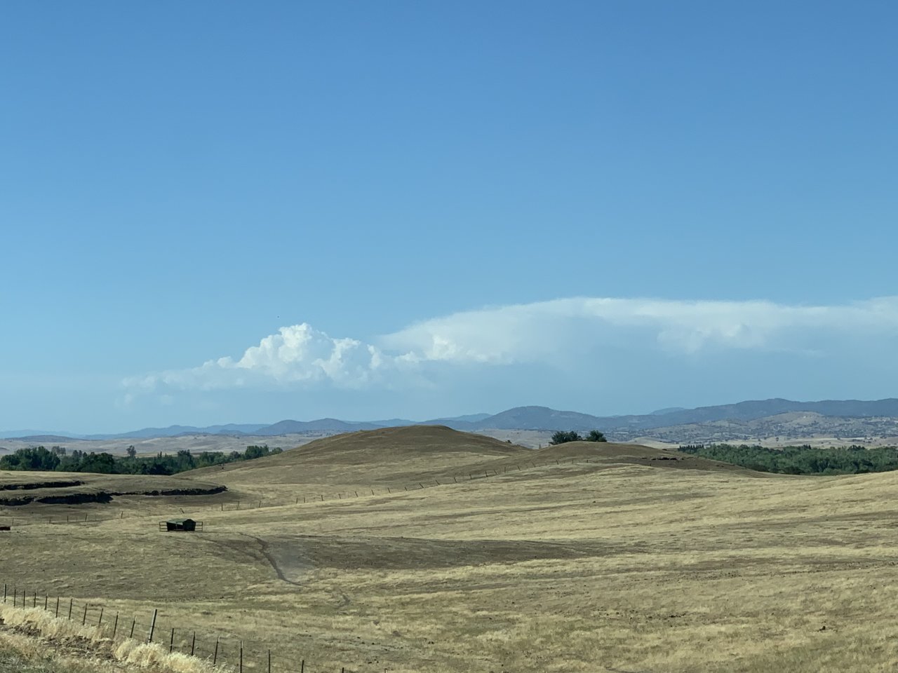 0DFA7194-42DF-4ADE-8050-C9EED62871EA.jpg