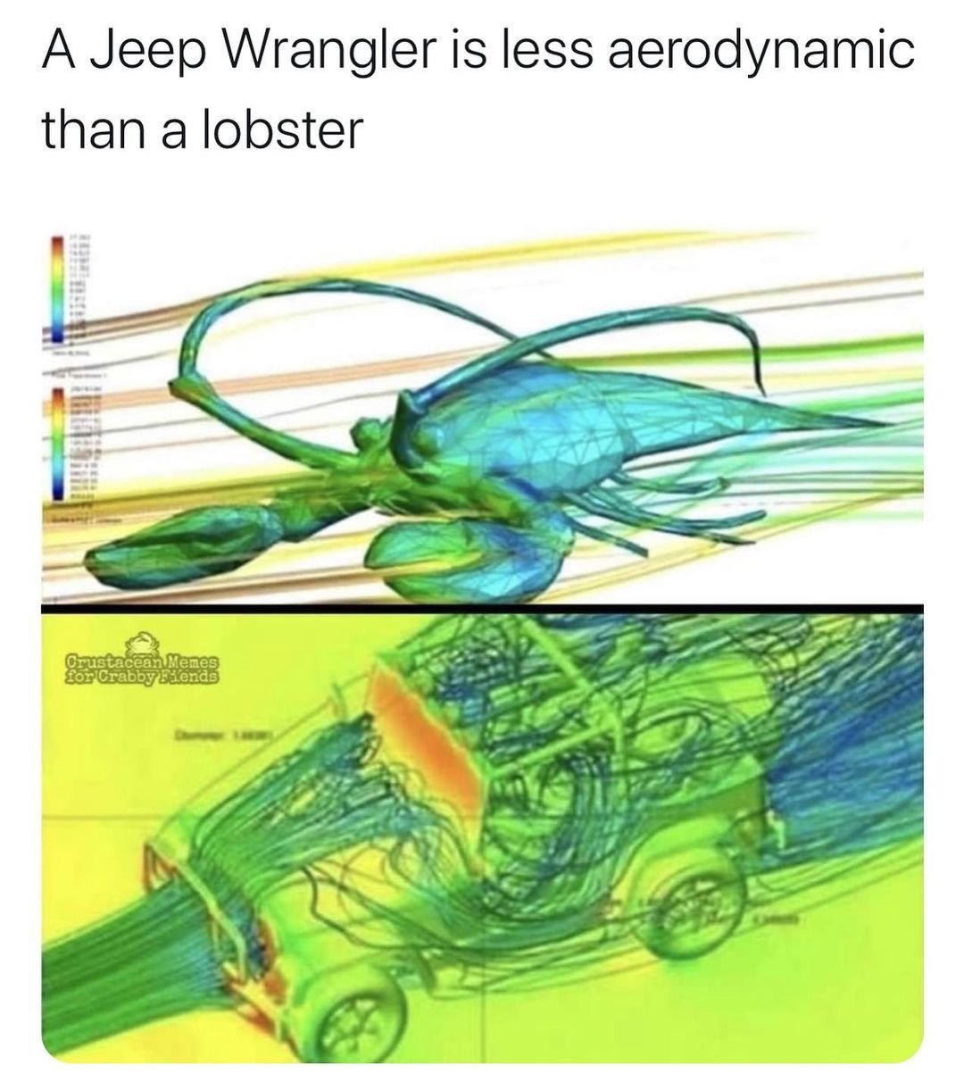 0E3A6C09-C669-4107-831F-692D36E7CF92.jpg