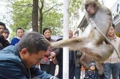 0f4389e6c30640d70812a8701da1db73--karate-kick-kungfu.jpg