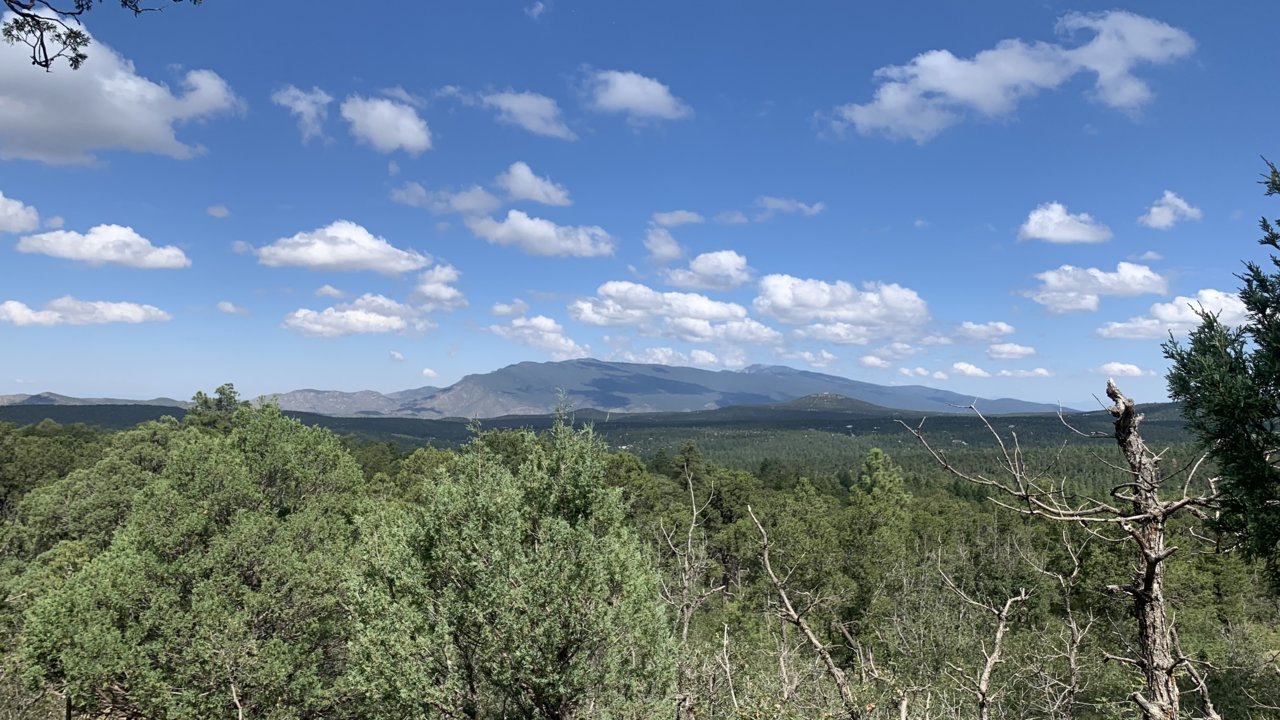 0F4ED1AB-D264-467D-AA1A-7C001908F7B2.jpg