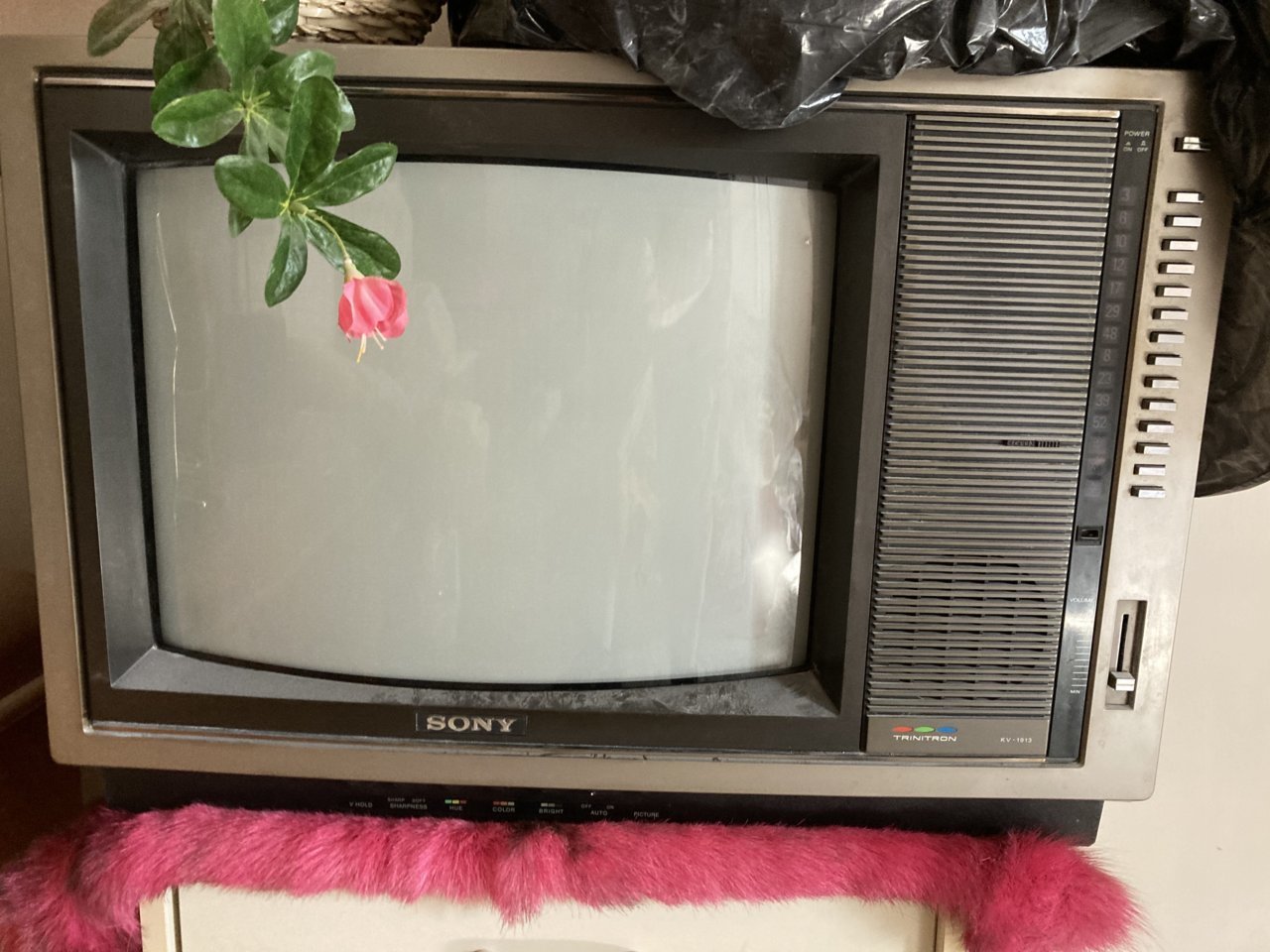 0F86AECB-DFCC-4B73-8A25-F2993F989A45.jpg