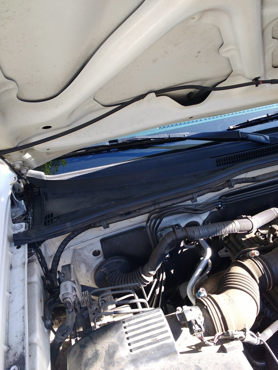 1. Black plastic cowl at passenger side.jpg