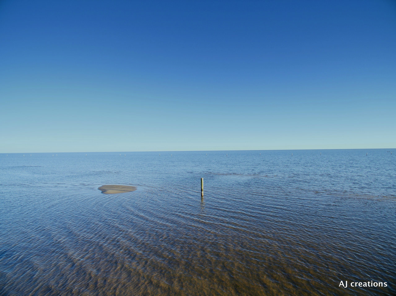 1-DJI_0040.jpg