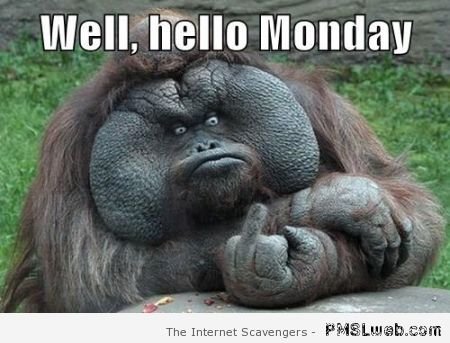 1-hello-Monday-funny.jpg