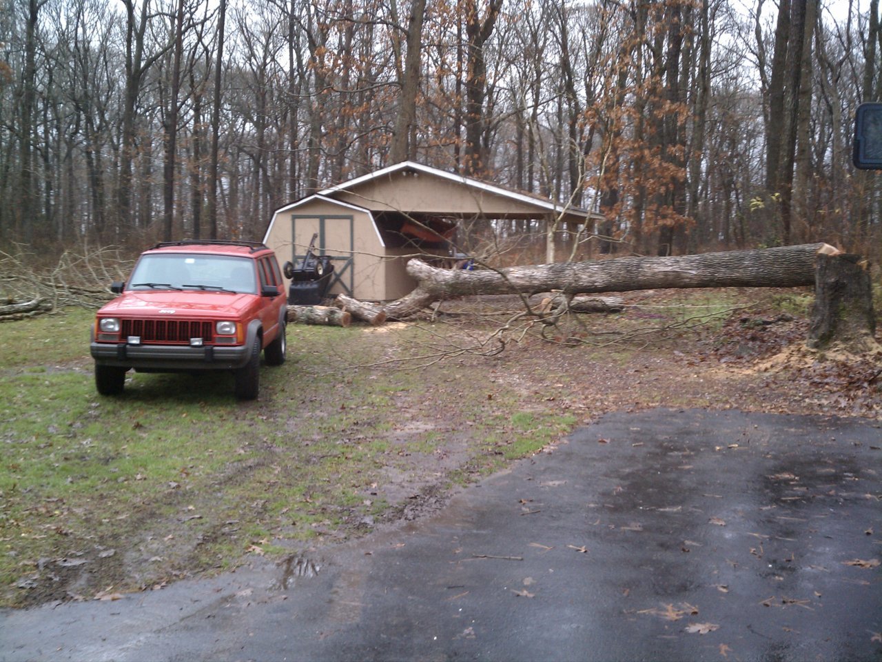1 Stumps 20121210.jpg