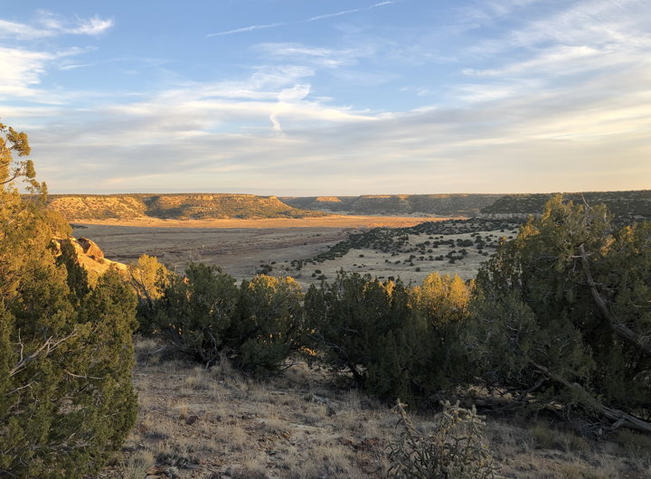 1 vista rim.jpg