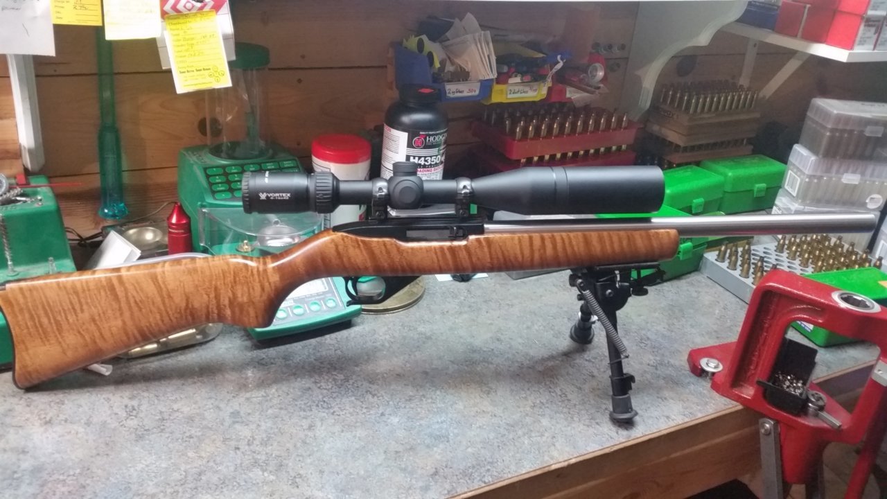 10-224.jpg