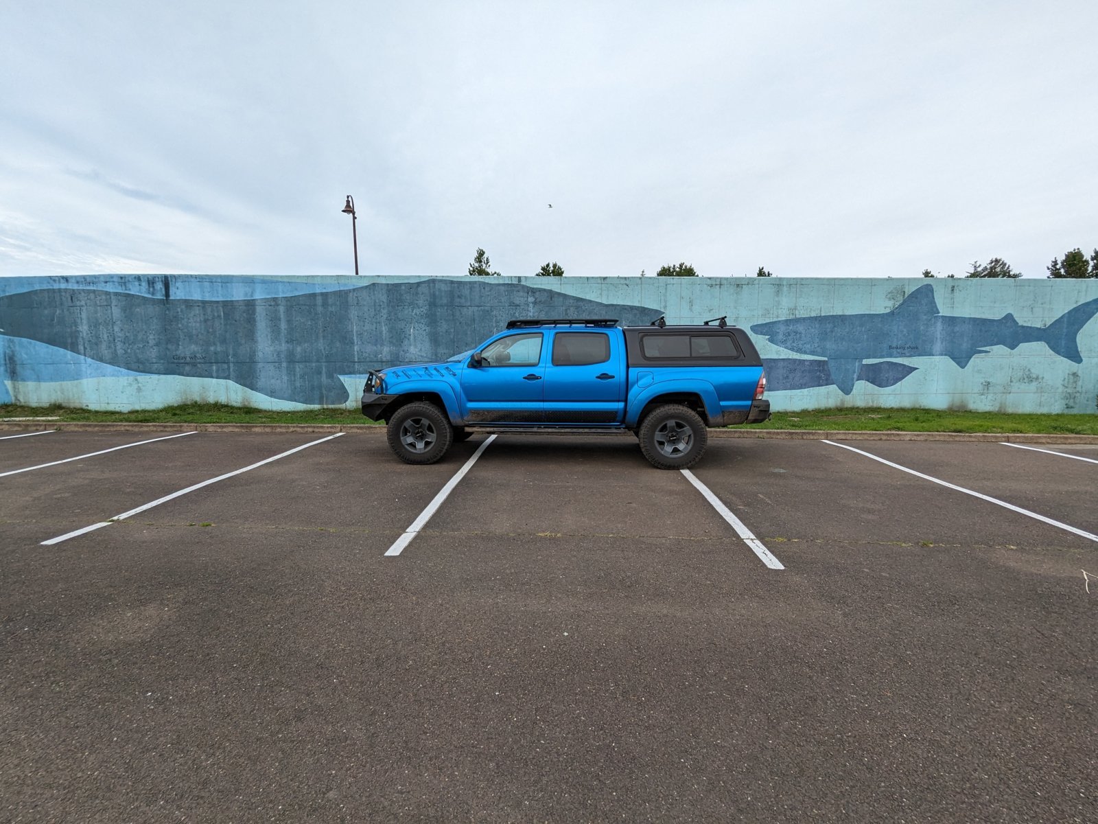1000002214.jpg