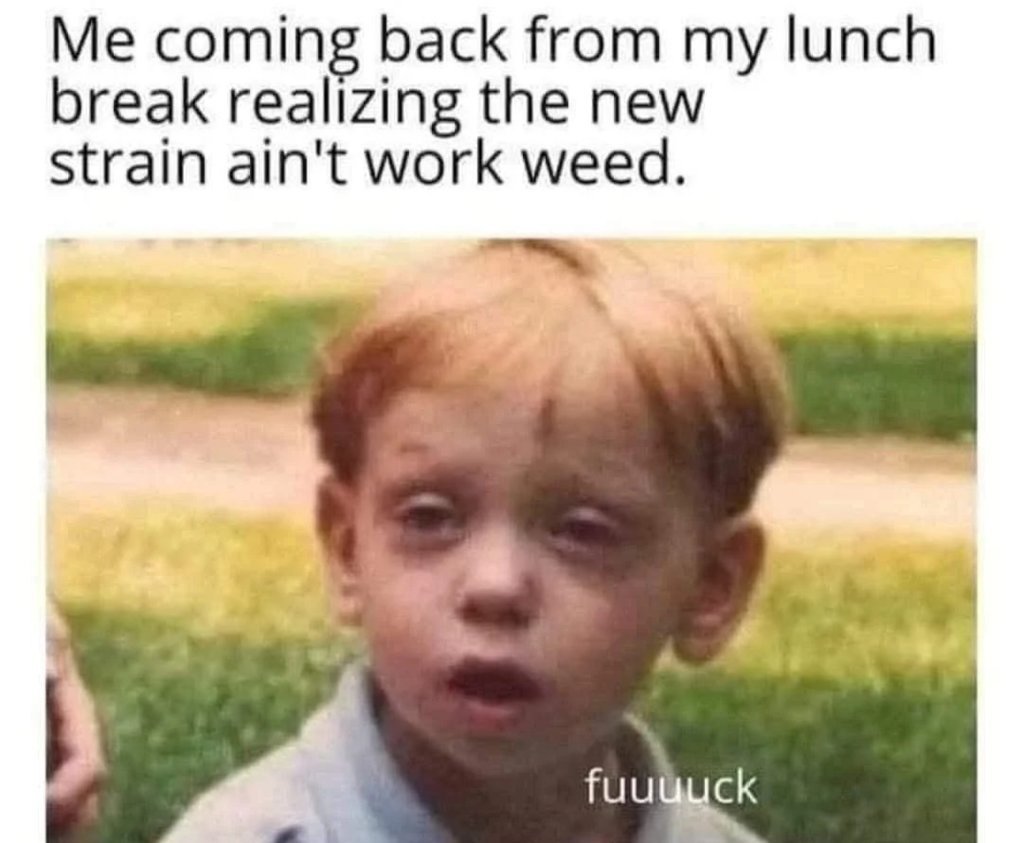 1000008261.jpg