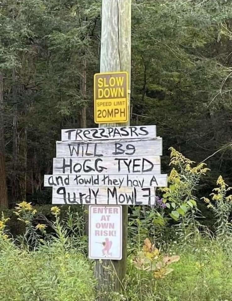 1000010190.jpg