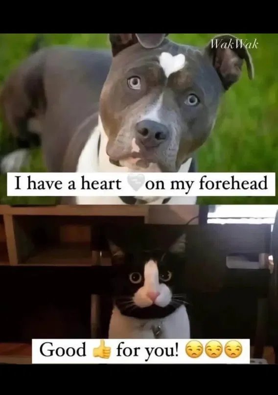 1000022045-png_aedfd7e387358ca822b44506b33dd8b292cba401.png