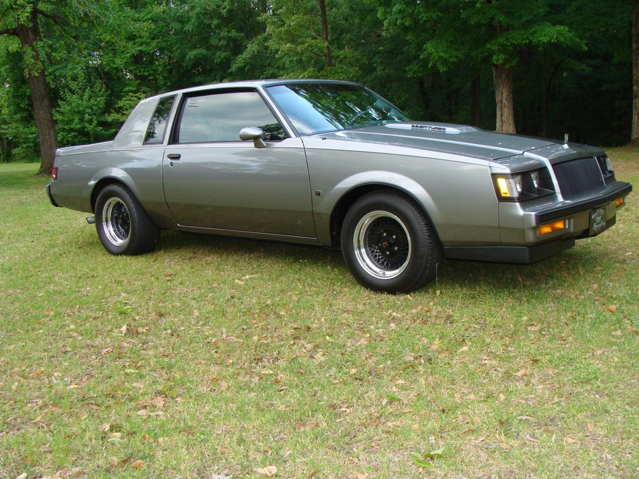100425 Grey Regal.jpg