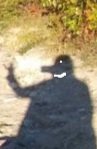 1009211729_Burst01.jpg