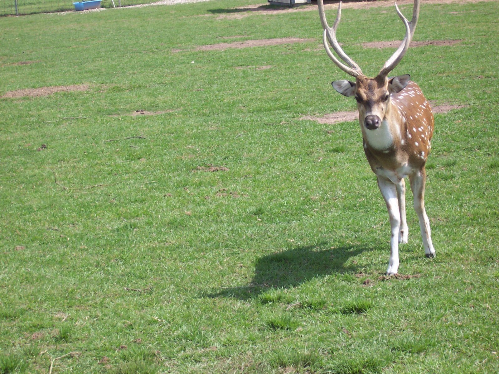 100_0055.jpg