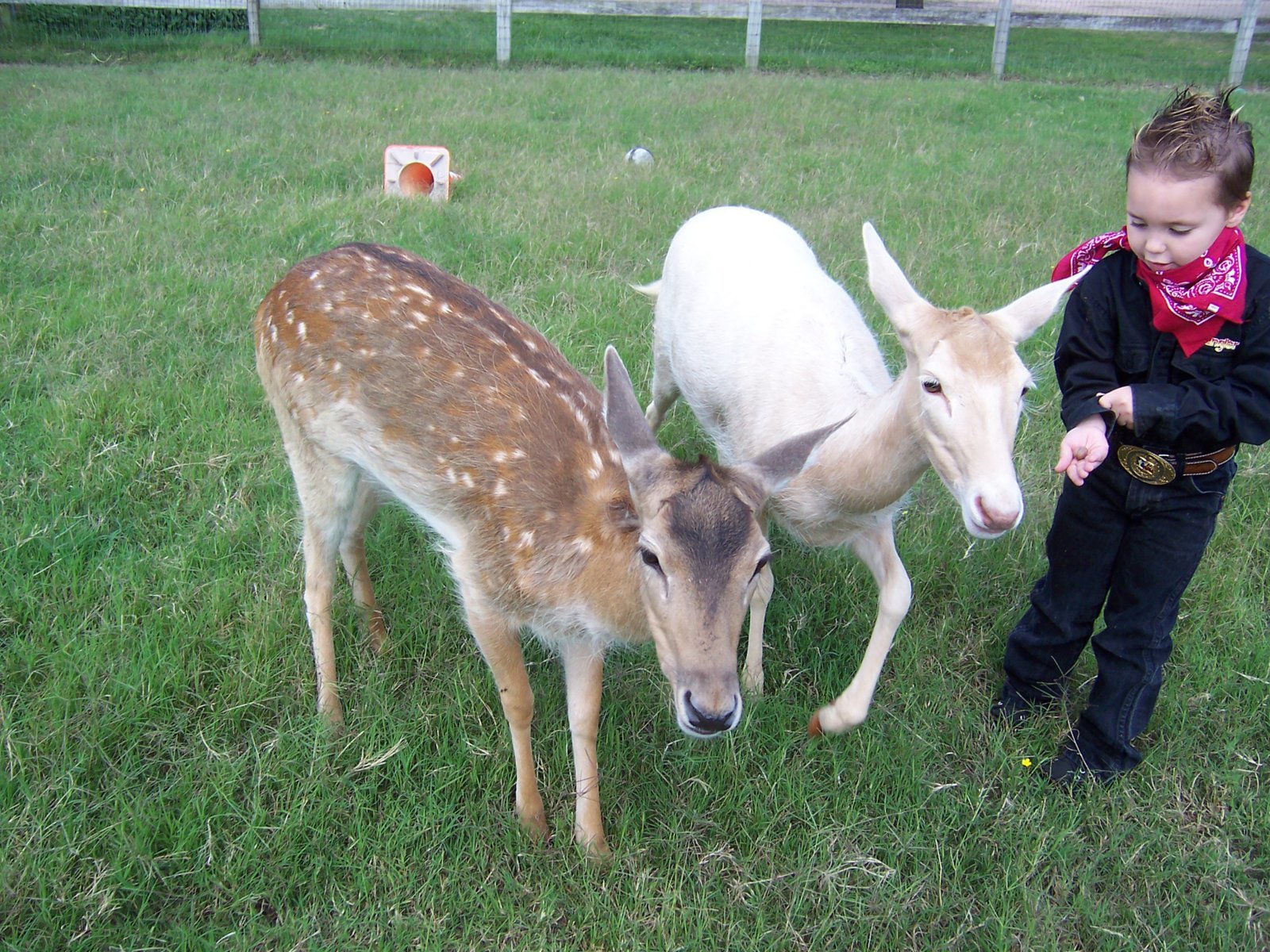 100_0061.jpg