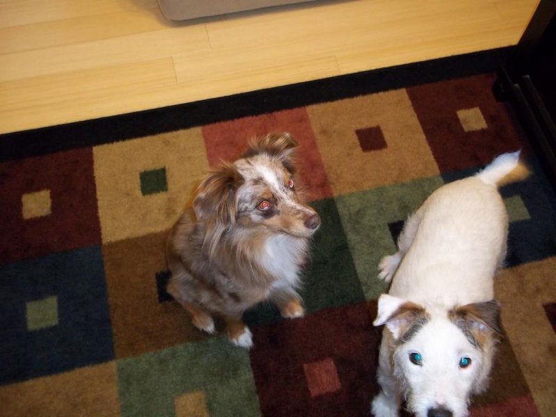 100_0065.jpg