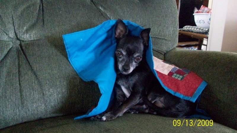 100_0158.jpg