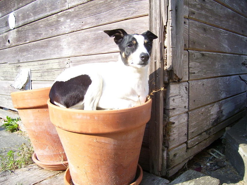 100_0240.jpg