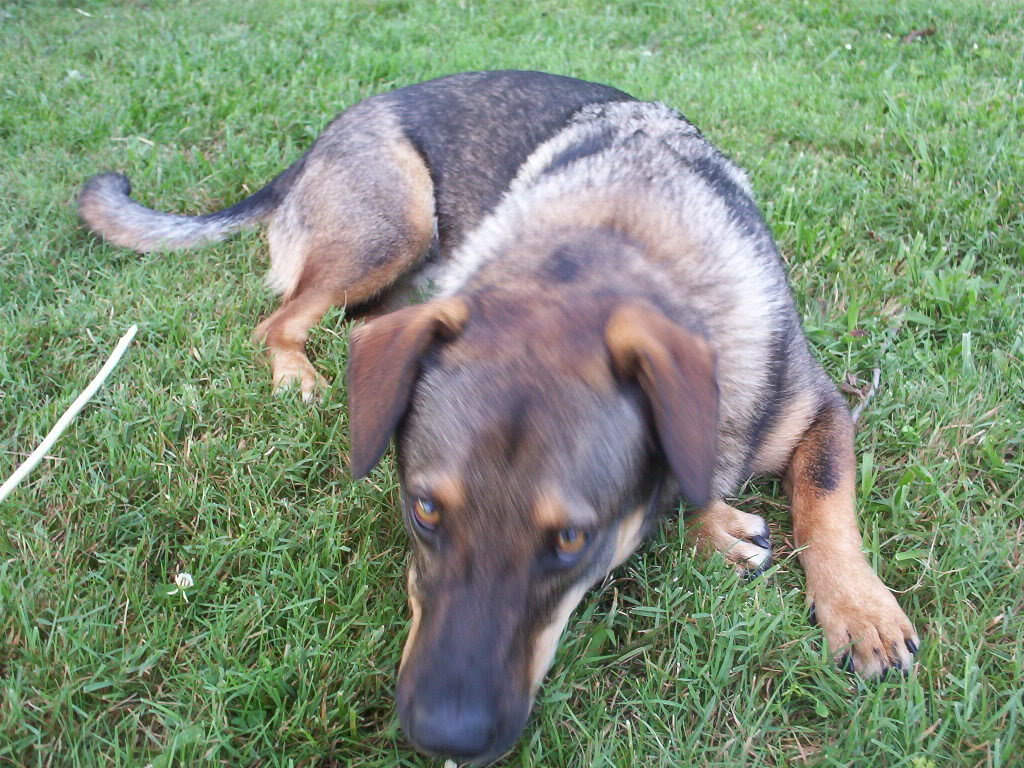 100_0240_b8bbeecb6f24139e875a542bf74444cc5cd67b9e.jpg