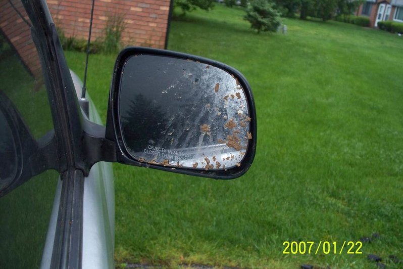 100_0552.jpg