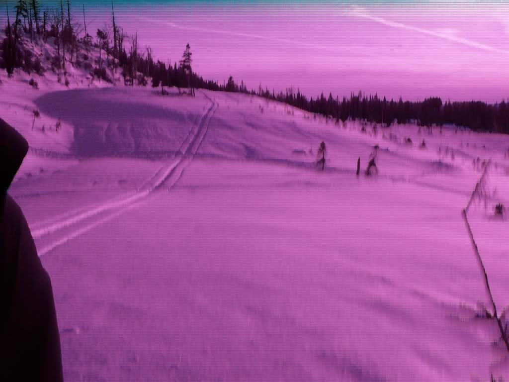 100_0976_8688a6c0f3c6dd1937c2b2a253dcc5e0968efc7c.jpg