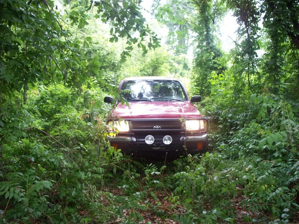 100_0991_4958d7b3cd0ec56852e807475022d8e0d830eb9d.jpg
