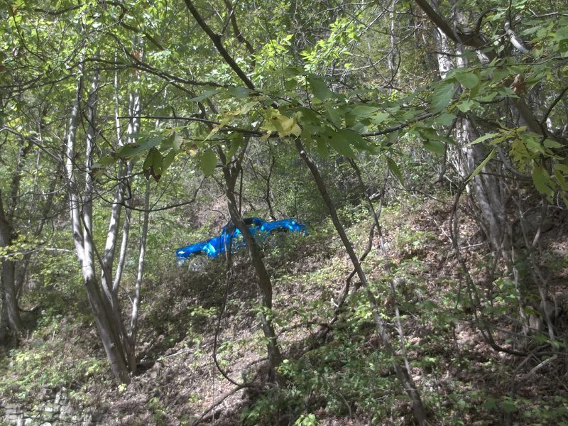 100_1120.jpg