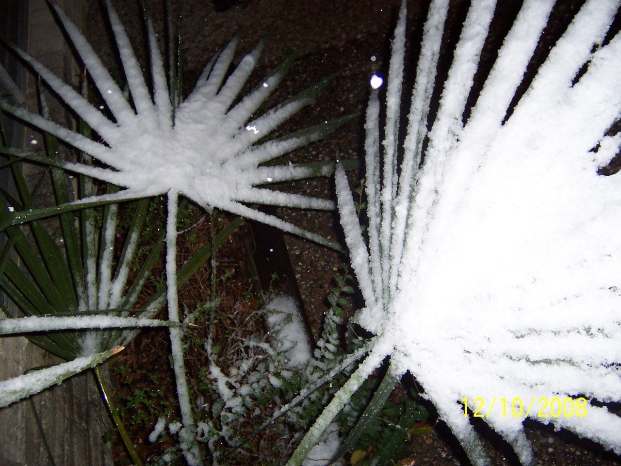 100_1505.jpg