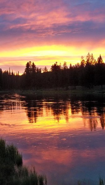 100_1715.jpg
