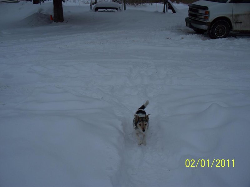 100_2320.jpg