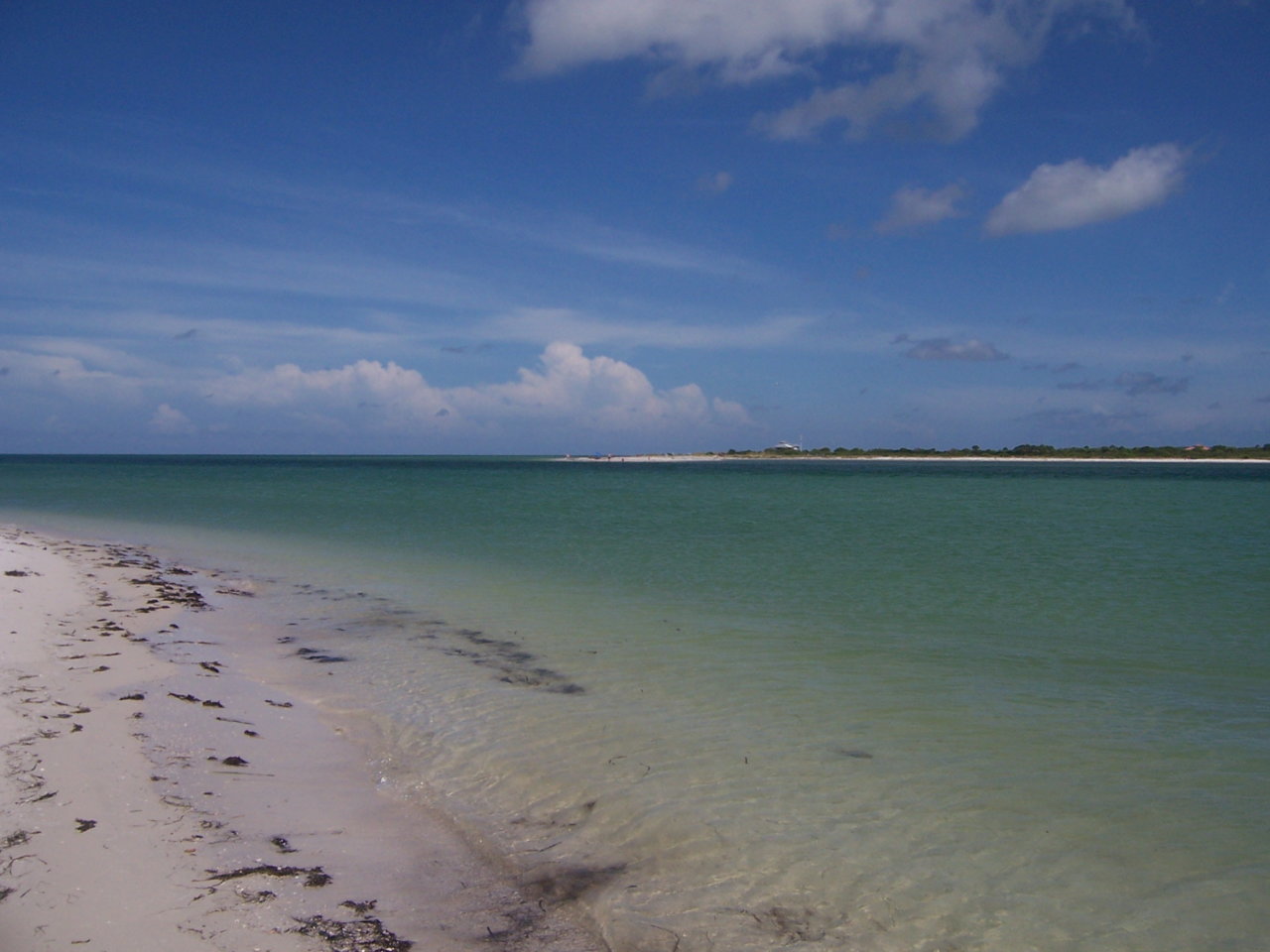 100_5063.jpg