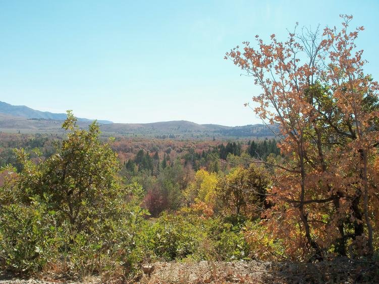 100_7043.jpg