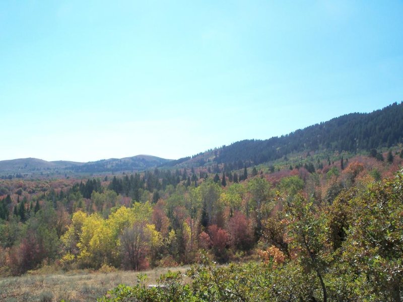 100_7045.jpg