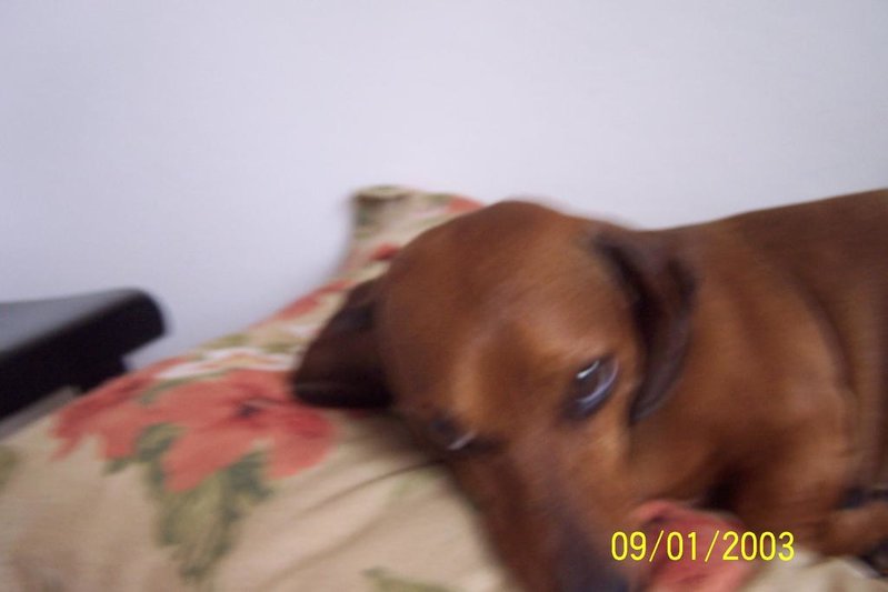 100_7130.jpg
