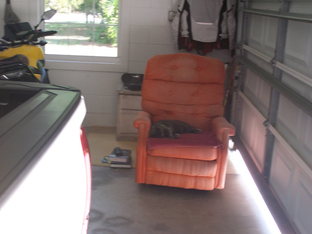 100_9803.jpg