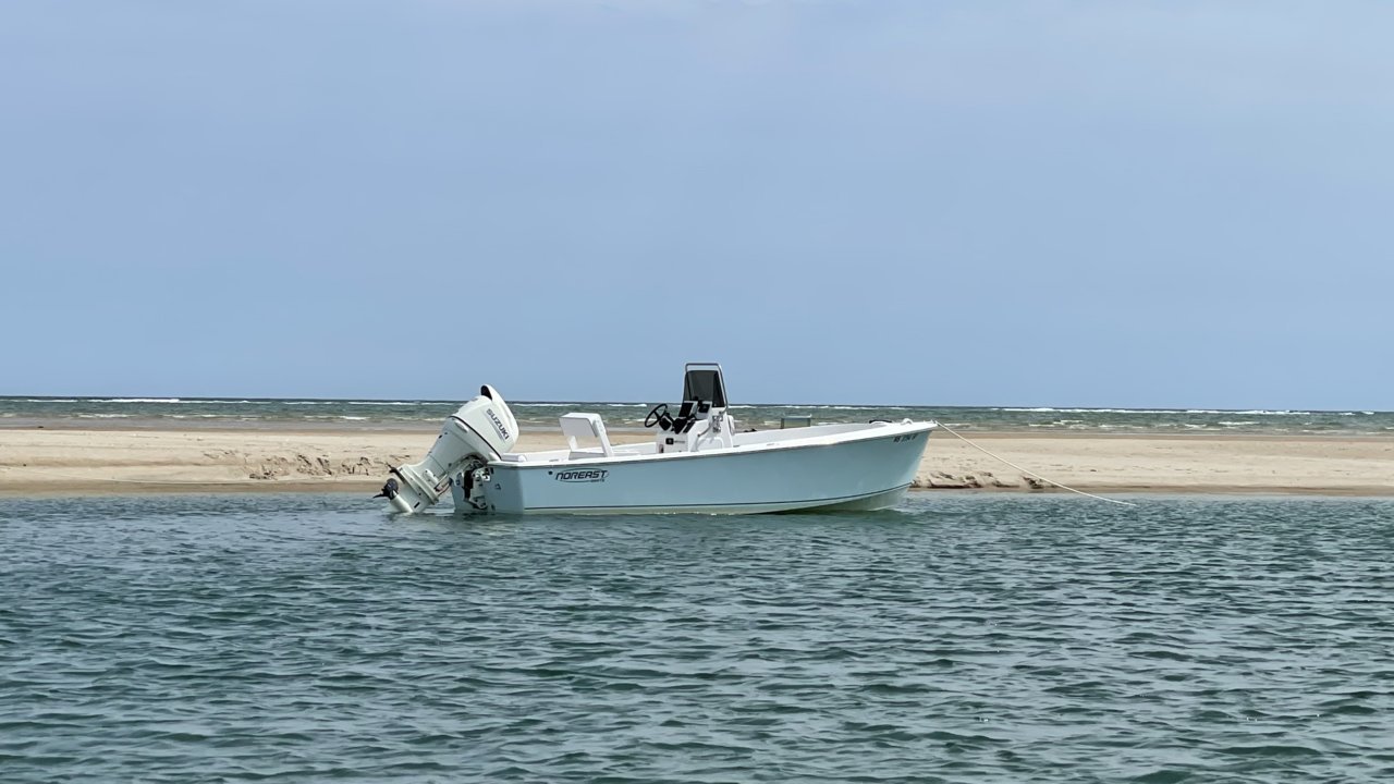 100BCD1F-43CA-4D53-9D79-49A14813BB4F.jpg