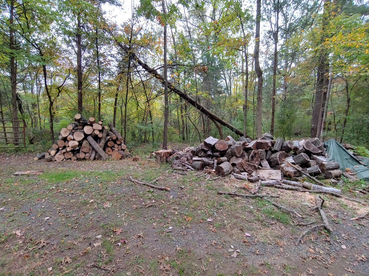 1010201728_HDR.jpg