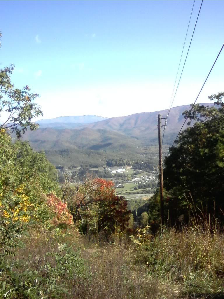 101108_160200_da3ef8550aa05055b4e27c67b25568a39fcfecbb.jpg