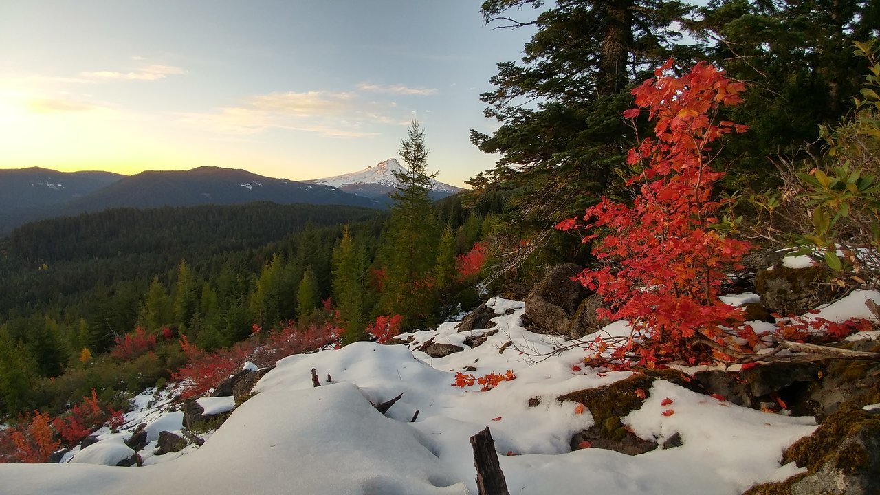 1015171813c_HDR.jpg