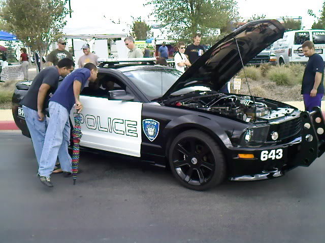 1025091225_206e456308308270062bb5360c839852f437be75.jpg