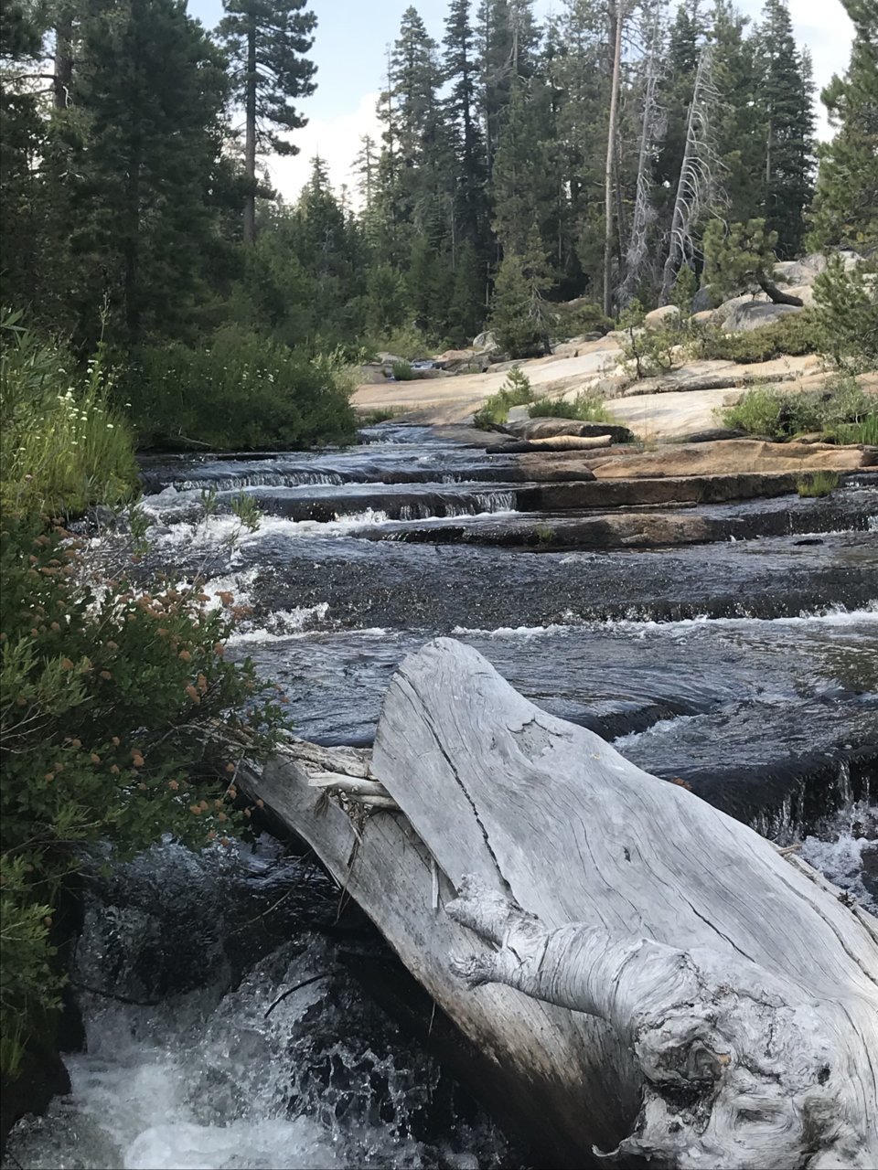 10327C45-2E03-4258-B097-4468D3F847C2.jpg